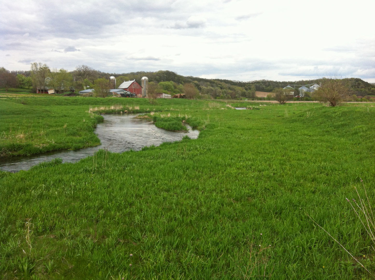 Black Earth Creek with functioning floodplain in foreground with red bard and farm in the background.