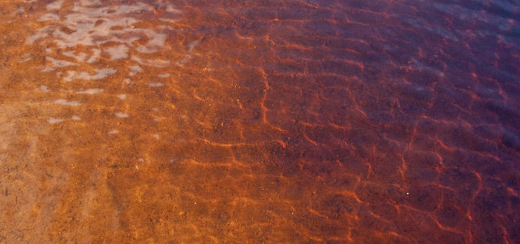 Waves ripple across the surface of the water, creating a pattern of light on the sandy bottom below.