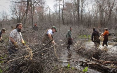 What is the Little Plover River Watershed Enhancement Project?