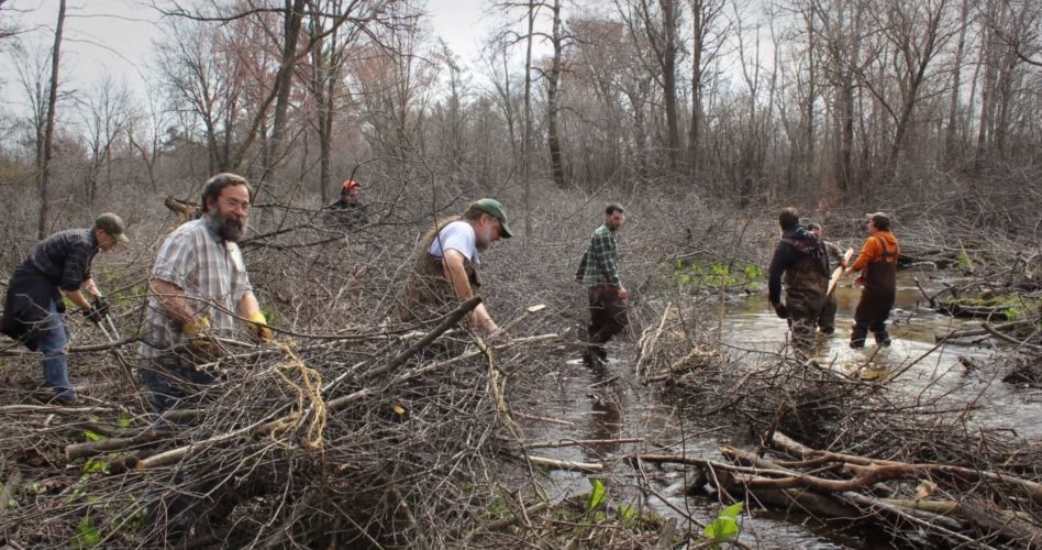 Volunteers work to install bundles of branches along a creek bank.
