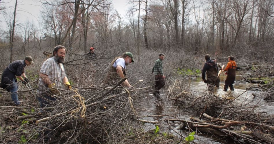 What is the Little Plover River Watershed Enhancement Project?