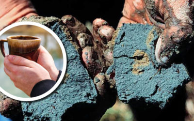 Wetland Coffee Break: Wetland Soils 101: Way more than just mud on your boots