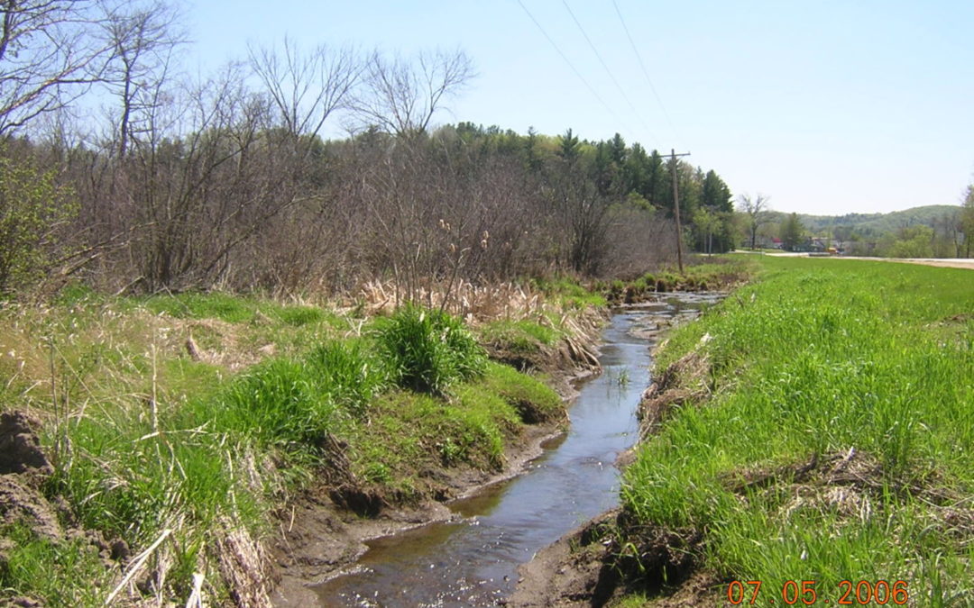 A ditch runs along the side of the road, draining the nearby wetland and altering the historic hydrology of the site.