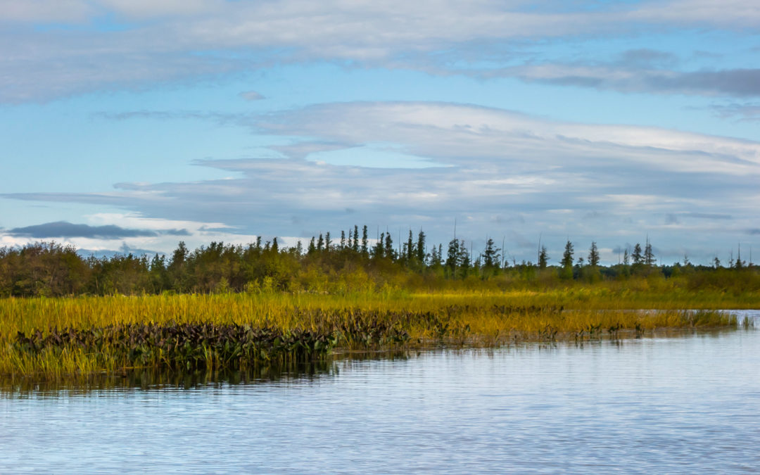 Kakagon–Bad River Sloughs on the Bad River Reservation in Ashland County, Wisconsin.