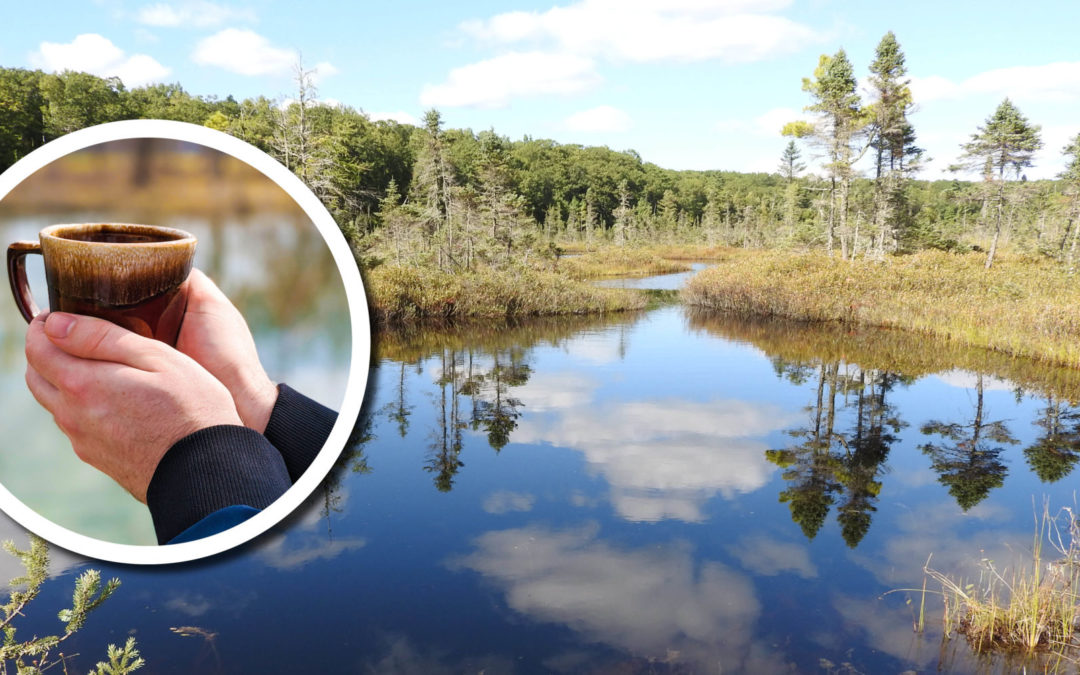 wetland coffee break header image