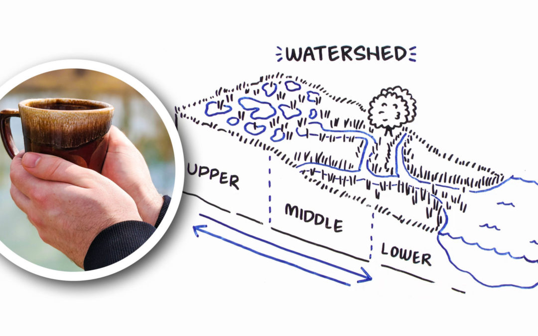 Wetland Coffee Break: Wetland hydrology 101