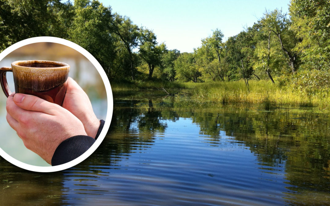 wetland coffee break header image