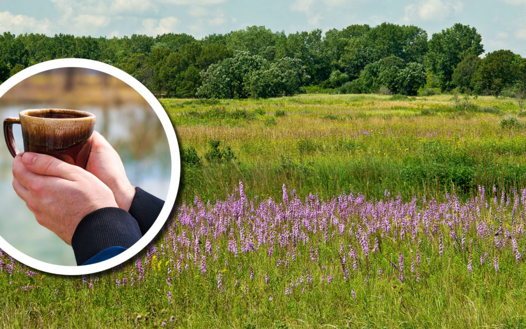 Wetland Coffee Break: The Chiwaukee Prairie