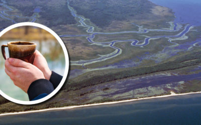 Wetland Coffee Break: Protecting the “Bayou of the North”