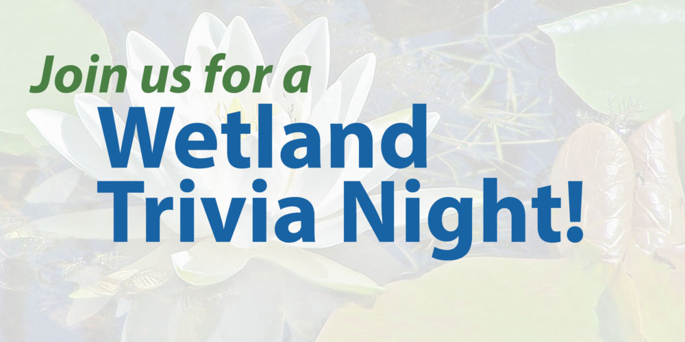 WWA’s 2021 Annual Membership Meeting and Wetland Trivia Night