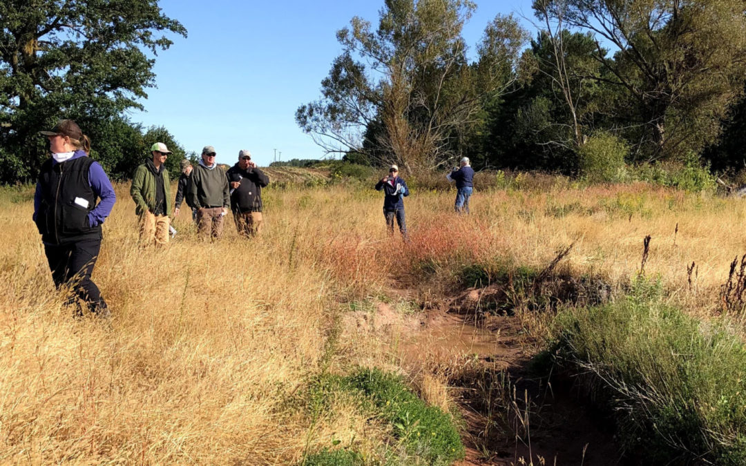 Attendees of WWA’s recent design charrette explore a potential wetland restoration site