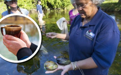 Wetland Coffee Break: Wisconsin’s amazing native mussels