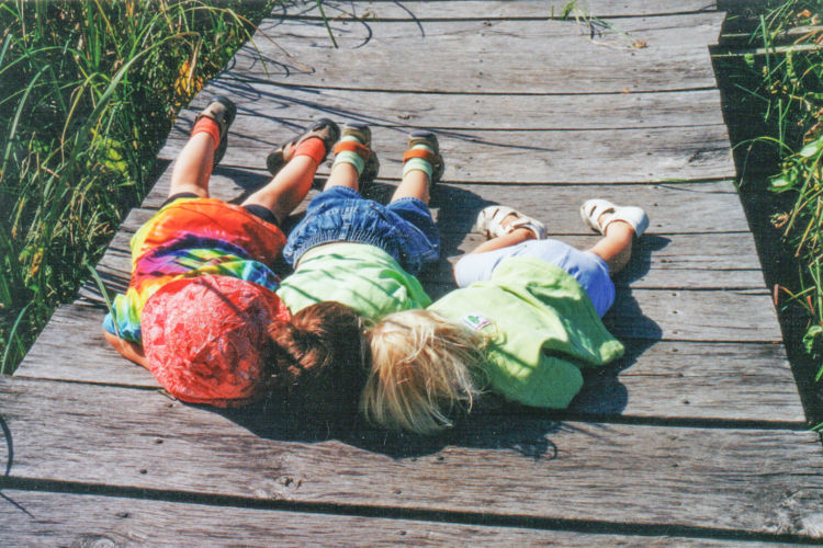 Three kids laying on a boardwalk looking through the boards at the wetland underneath.