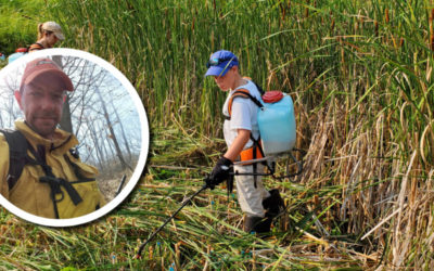 Wetland Coffee Break: Chemical control of cattail in species-rich wetlands