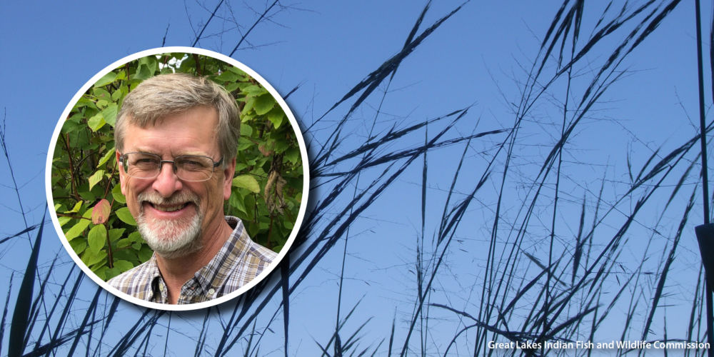 Wild rice and a photo of Peter David.