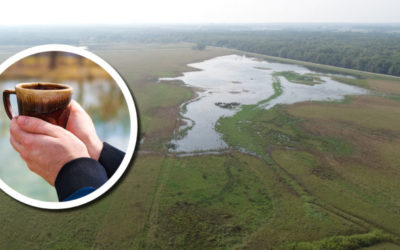Wetland Coffee Break: Habitat restoration and bird monitoring on the Oneida Nation reservation