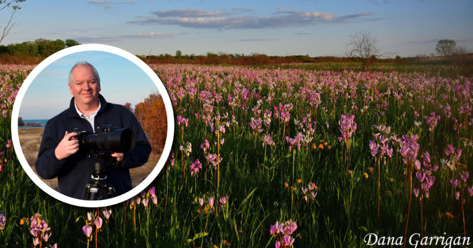 Wetland Coffee Break: Chiwaukee Prairie: A conservation story through photos
