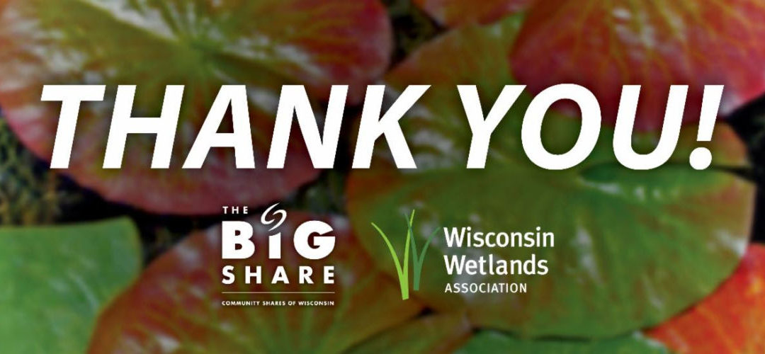 lily pad image with Big Share and WWA logos to say thank you