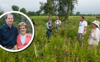 Wetland Coffee Break: So you want to manage your wetland. Where to start?
