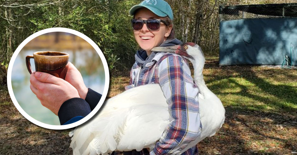 Wetland Coffee Break: Whooping crane conservation in Wisconsin