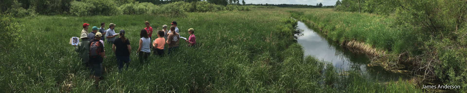 wetland jobs