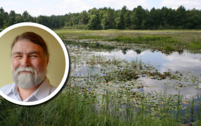 From the Director: The art and craft of restoration