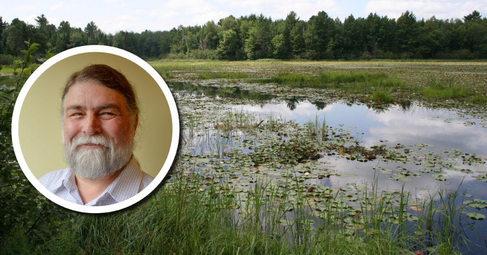 A photo of Executive Director Tracy Hames inset into a photo of a wetland.