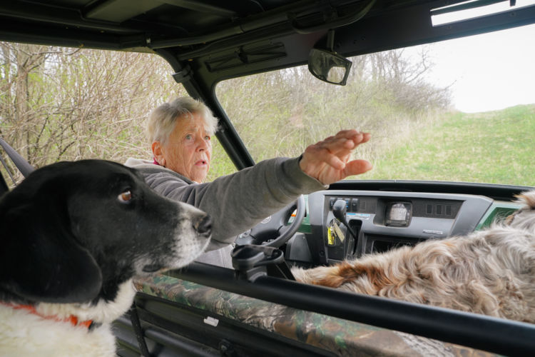 Landowner Marilyn Houck steers her utility vehicle while pointing to something in the distance as her dogs ride in the seats around her.