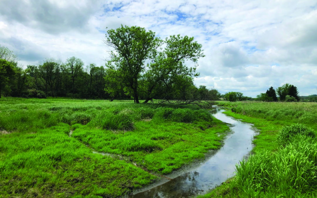 A photo of the winding historic channel on Marilyn Houck's property.