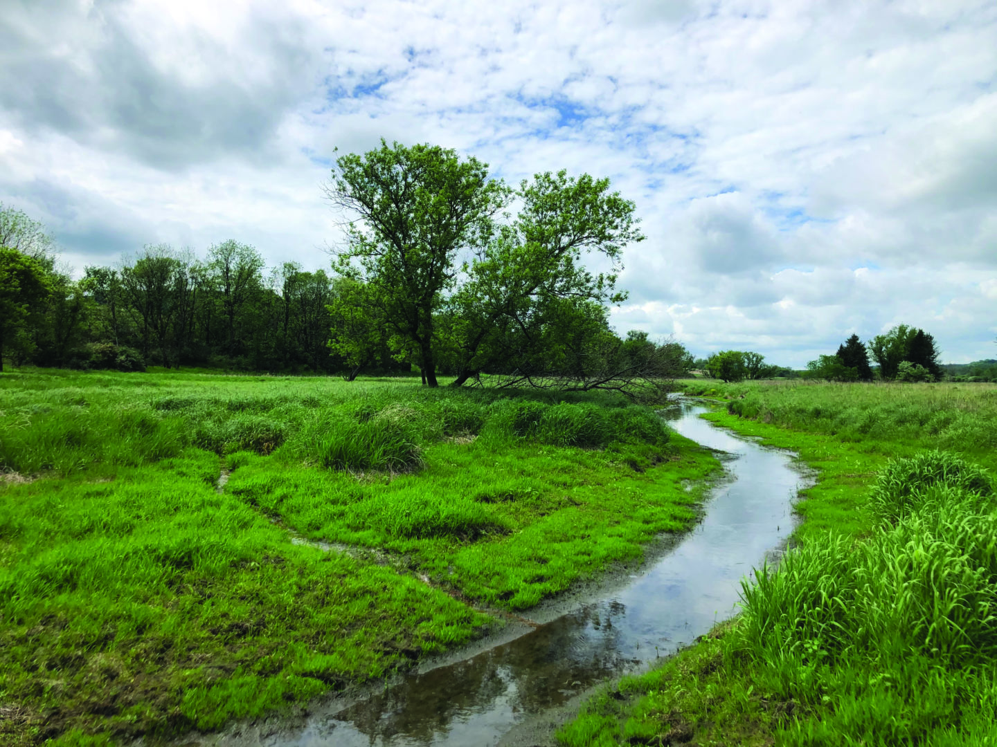 A photo of the winding historic channel on Marilyn Houck's property.