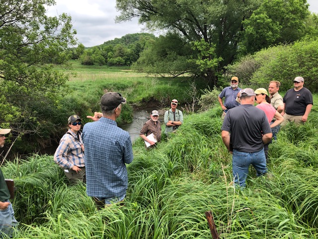 A group of people gathered in a loose circle among tall grasses or sedges at the top of the high banks along Fancy Creek's ditched portion.