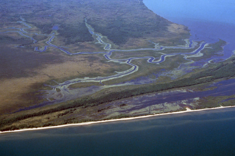 aerial view of several meandering rivers winding through a large wetland and emptying into a bay along Lake Superior