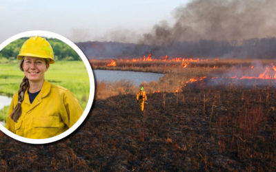 Wetland Coffee Break: The role and application of prescribed fire in Wisconsin wetlands