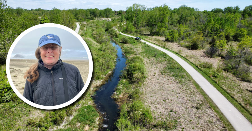 Wetland Coffee Break: Wetland restoration within the chaos of our shifting world