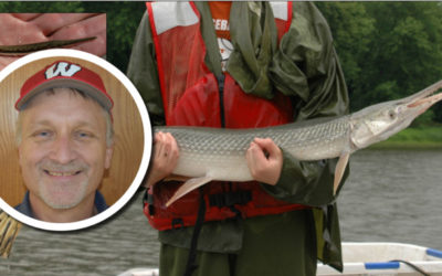 Wetland Coffee Break: The fascinating fishes of the floodplains of Wisconsin’s largest rivers