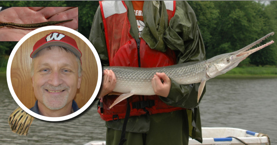 Wetland Coffee Break: The fascinating fishes of the floodplains of Wisconsin’s largest rivers