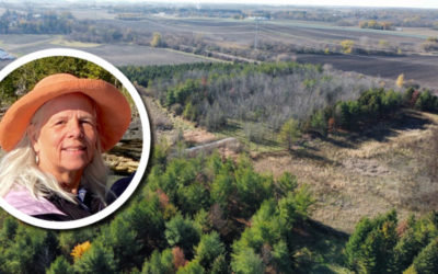 Wetland Coffee Break: Wetland restoration for ravine protection in SE Wisconsin