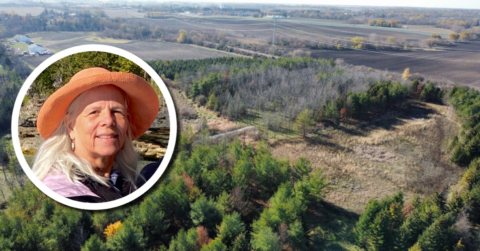 Wetland Coffee Break: Wetland restoration for ravine protection in SE Wisconsin