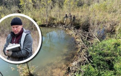 Wetland Coffee Break: The influence of beaver dams on Wisconsin trout streams