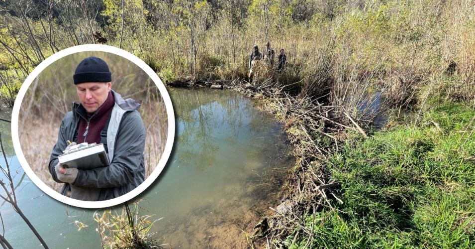 Wetland Coffee Break: The influence of beaver dams on Wisconsin trout streams