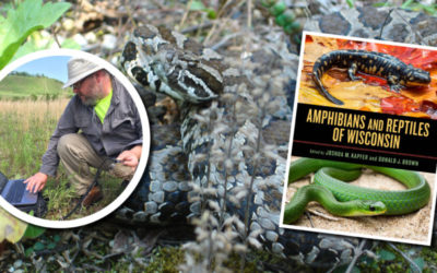 Wetland Coffee Break: Amphibians and reptiles of Wisconsin