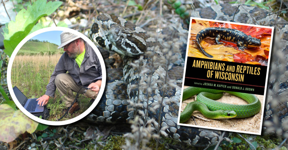 Wetland Coffee Break: Amphibians and reptiles of Wisconsin