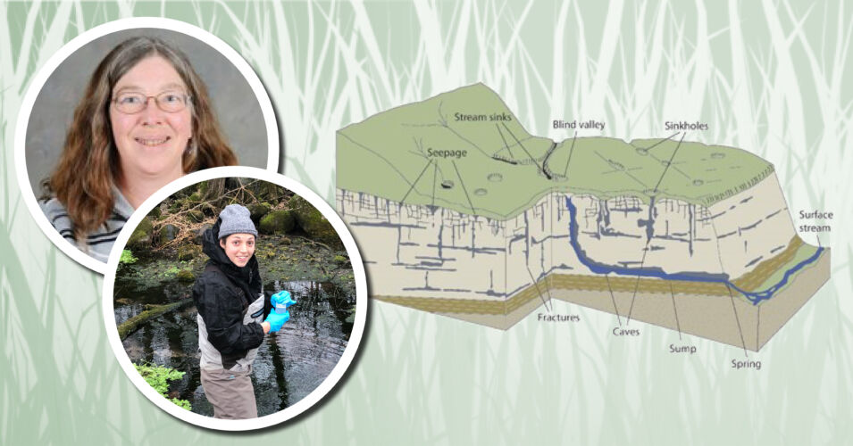 Wetland Coffee Break: Karst hydrogeology & wetlands