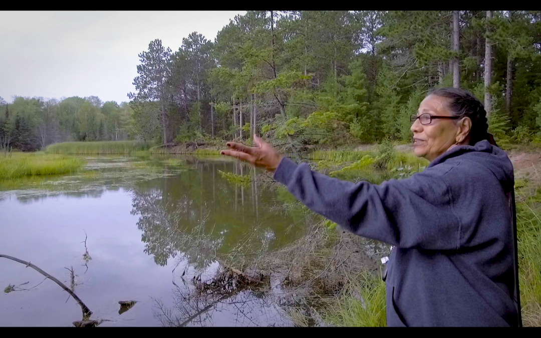 Carolyn L.C. Gouge-Powless, a member of the Red Cliff Band of Lake Superior Ojibwe Kwe, holds out a hand towards a wetland in the Red Cliff Reservation.