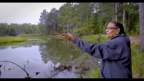 Wisconsin Tribes: Leading the way in protecting and restoring wetlands ...