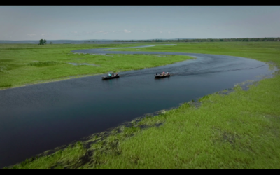 Communities & Wetlands Project