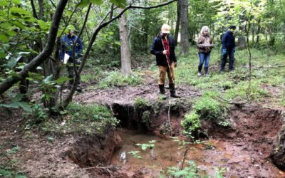 Wetlands and flood damages: Understanding the connections