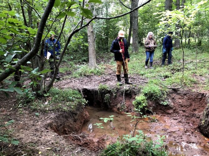 Wetlands and flood damages: Understanding the connections