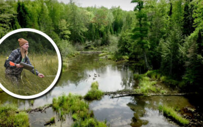 Wetland Coffee Break: Wetland monitoring and protection on the Red Cliff reservation