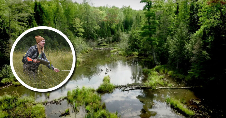 A photo of Jessica Jacobson in field waders holding a clipboard and a drone photo of a beautiful stream and wetland in the Red Cliff reservation with ducks swimming.